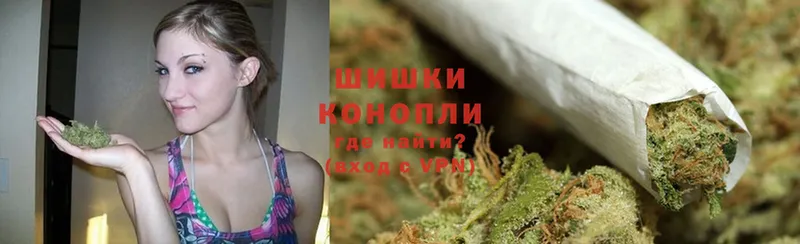 где купить наркотик  Котлас  Конопля SATIVA & INDICA 